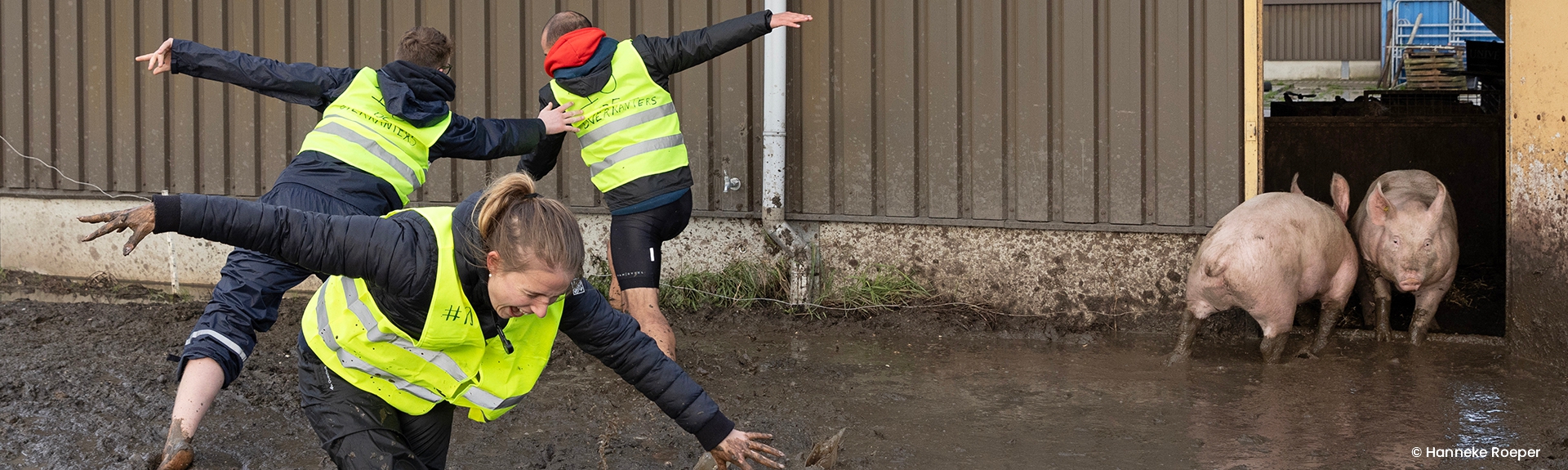 WampexTexel2023_09 ©Hanneke Roeper